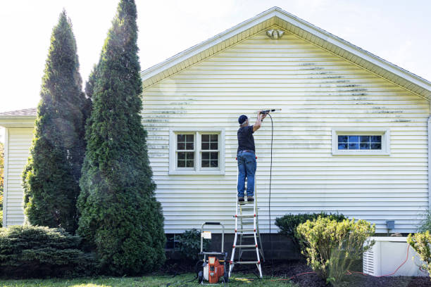 Professional Pressure Washing in Bradfordville, FL